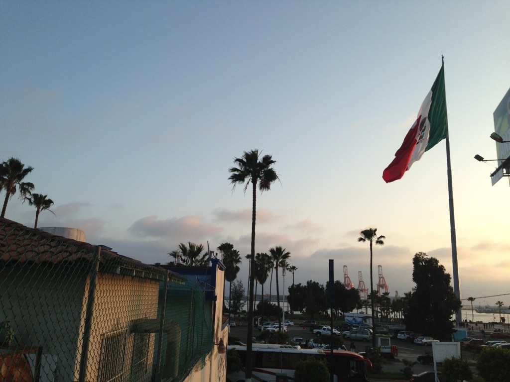 Ensenada Flag - Alien Tom